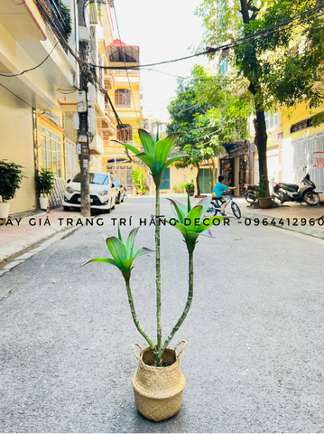 CÂY BÔNG SÚNG GIẢ HẰNG DECOR (1M1, 1M6)