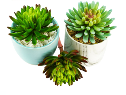 Cành sen đá nhiều cánh tròn 15cm