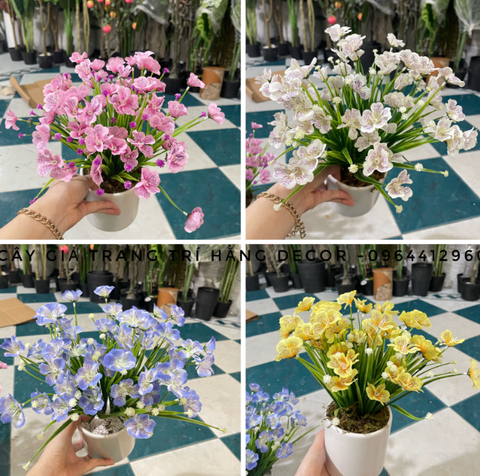 CHẬU HOA CÁNH BƯỚM GIẢ ĐẶT BÀN 30CM