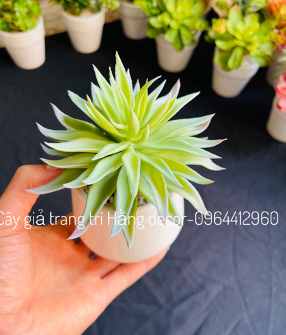 Chậu sen đá lá nhọn giả 15cm