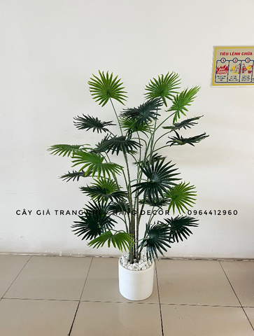 CÂY CỌ GIẢ NHIỀU NHÁNH TRANG TRÍ 1M5-1M7