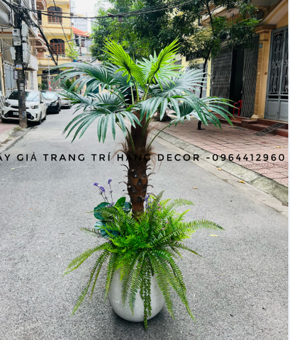 CHẬU CÂY CỌ THÂN TO 1M5 MIX TIỂU CẢNH VÀ CHẬU XI MĂNG GIỌT NƯỚC