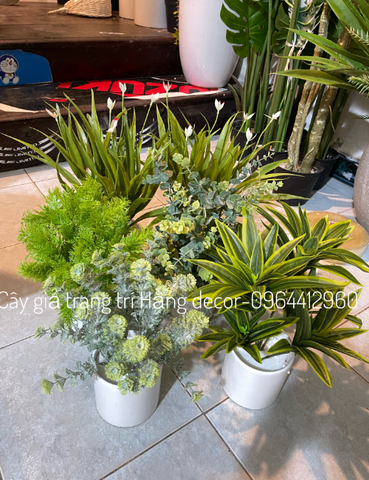 CHẬU THỦY TRÚC  ĐẶT BÀN 30CM
