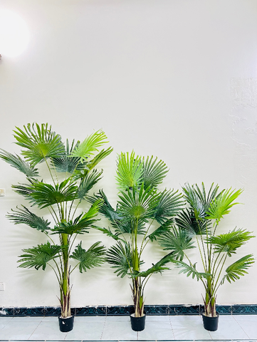 CÂY CỌ GIẢ TRANG TRÍ HẰNG DECOR 1M5-1M7