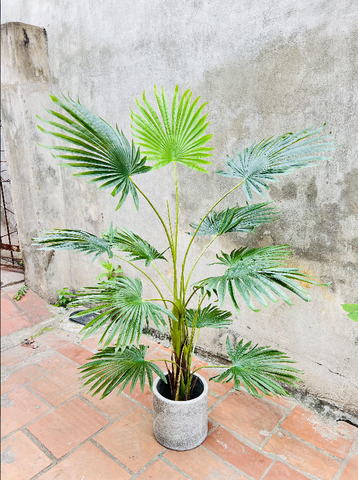 CÂY CỌ GIẢ TRANG TRÍ HẰNG DECOR 1M5-1M7