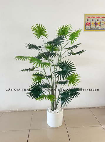 CÂY CỌ GIẢ NHIỀU NHÁNH TRANG TRÍ 1M5-1M7