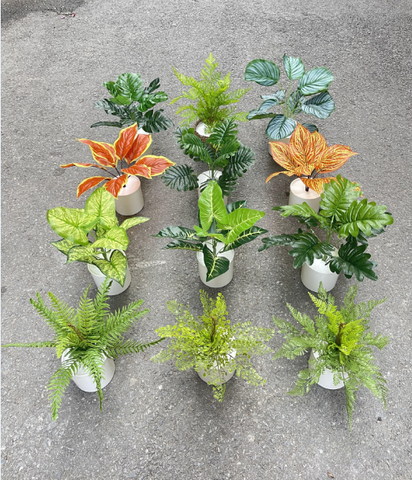 CHẬU CÂY ĐỂ BÀN 9 LÁ 30CM