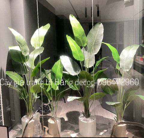 CÂY CHUỐI RẺ QUẠT TRANG TRÍ HẰNG DECOR 1M8(3 nhánh-12 lá)