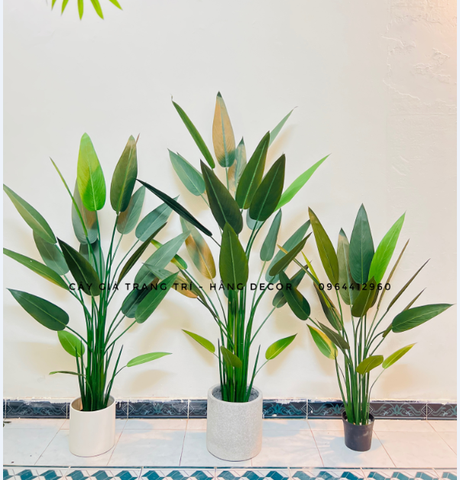 CÂY CHUỐI THIÊN ĐIỂU TRANG TRÍ HẰNG DECOR ( 1M1, 1M4, 1M6)