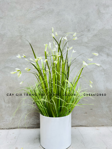 BÚI CỎ HOA LAU GIẢ TRANG TRÍ 70CM
