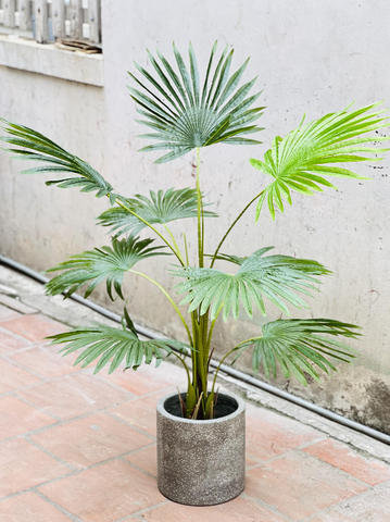 CÂY CỌ GIẢ TRANG TRÍ HẰNG DECOR 1M5-1M7