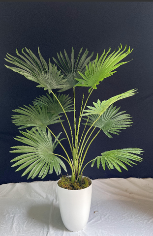 CÂY CỌ GIẢ TRANG TRÍ HẰNG DECOR 1M5-1M7