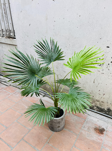 CÂY CỌ GIẢ TRANG TRÍ HẰNG DECOR 1M5-1M7