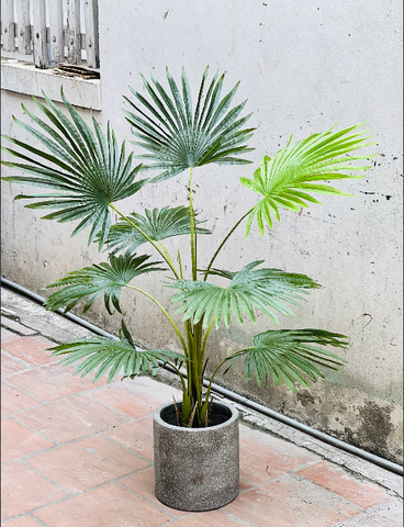 CÂY CỌ GIẢ TRANG TRÍ HẰNG DECOR 1M5-1M7