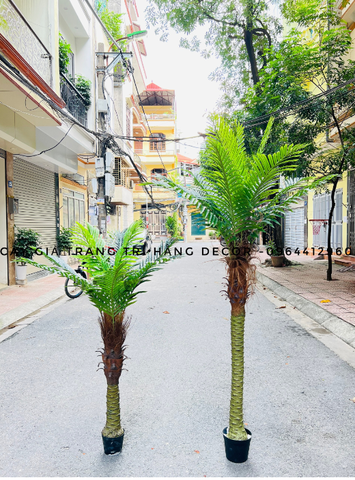 CÂY DỪA THÂN TO GIẢ HẰNG DECOR (1M5-2M)