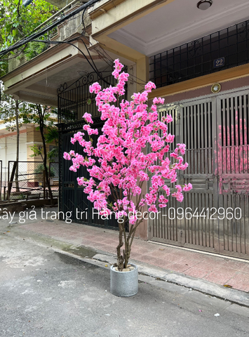 CÂY HOA ANH ĐÀO GIẢ TRANG TRÍ 2M5