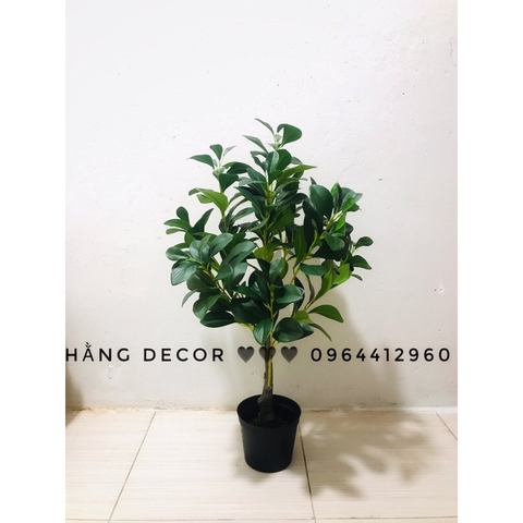 CÂY LÁ CHANH- CÂY XANH GIẢ TRANG TRÍ NHÀ HẰNG DECOR (85cm)