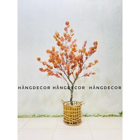 CÂY BẠCH ĐÀN LÁ VÀNG GIẢ HẰNG DECOR(85CM-1M3-1M6)