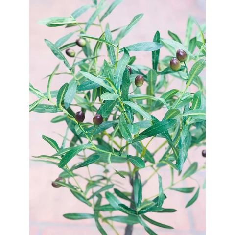 CÂY OLIU GIẢ TRANG HẰNG DECOR 85CM