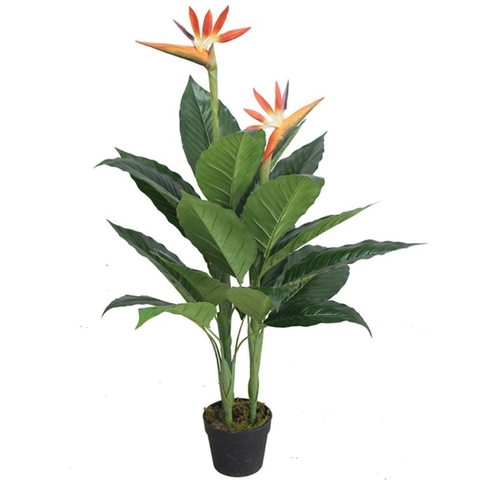 CÂY HOA THIÊN ĐIỂU 1M HẰNG DECOR