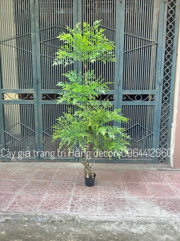 CÂY NAM THIÊN TRÚC GIẢ 1m8 hằng decor