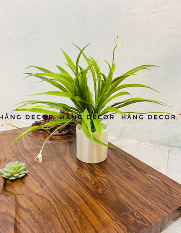 CHẬU DỨA HOA GIẢ ĐẶT BÀN 35CM