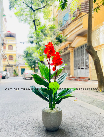 CÂY HOA DONG ĐỎ TRANG TRÍ HẰNG DECOR 1M2
