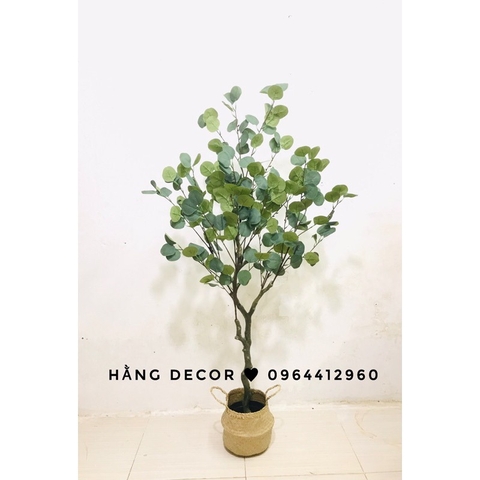 CÂY BẠCH ĐÀN GIẢ TRANG TRÍ NỘI THẤT HẰNG DECOR( 130CM)