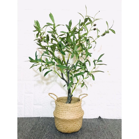 CÂY OLIU GIẢ TRANG HẰNG DECOR 85CM