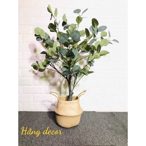 CÂY BẠCH ĐÀN GIẢ TRANG TRÍ NỘI THẤT HẰNG DECOR(85CM)