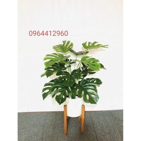 CÂY LÁ RÙA GIẢ 70CM 18 LÁ HẰNG DECOR