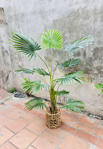 CÂY CỌ GIẢ TRANG TRÍ HẰNG DECOR 1M5-1M7