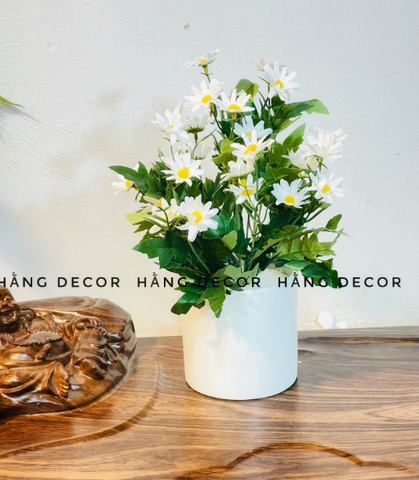 CHẬU HOA CÚC HỌA MI ĐẶT BÀN 30CM