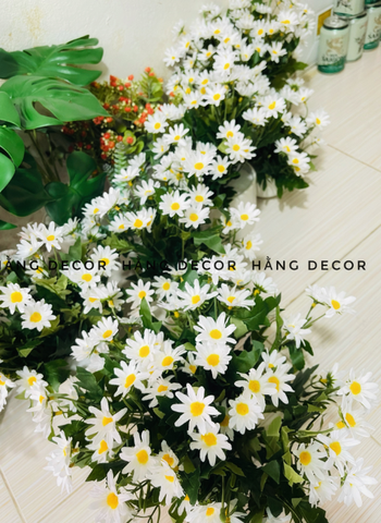 CHẬU HOA CÚC HỌA MI ĐẶT BÀN 30CM