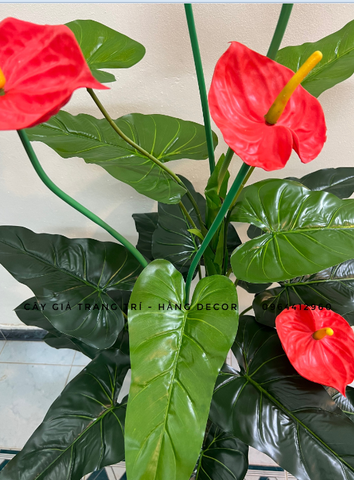 CÂY HOA HỒNG MÔN GIẢ HẰNG DECOR (1M2, 1M5)