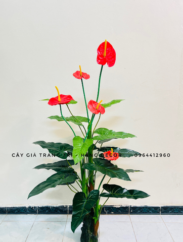 CÂY HOA HỒNG MÔN GIẢ HẰNG DECOR (1M2, 1M5)