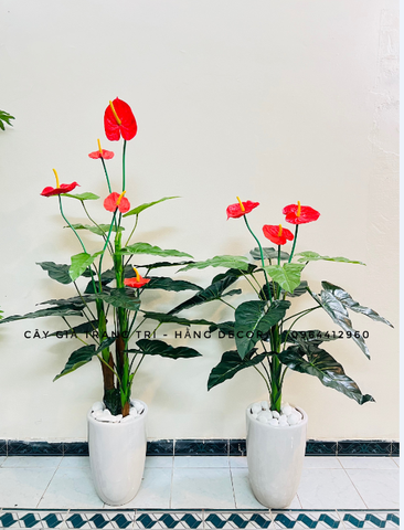 CÂY HOA HỒNG MÔN GIẢ HẰNG DECOR (1M2, 1M5)