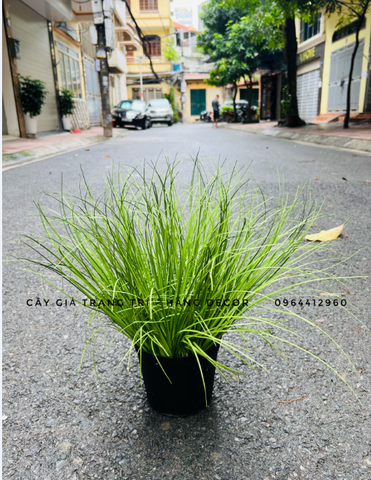 BÚI CỎ LAU GIẢ HẰNG DECOR 40CM