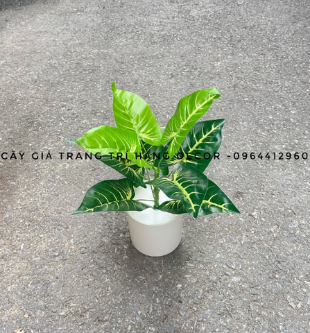 CHẬU CÂY ĐỂ BÀN 9 LÁ 30CM