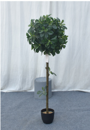 CÂY NGÂU GIẢ TRANG TRÍ HẰNG DECOR (80CM-1M-1M2)
