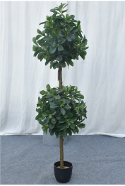 CÂY NGÂU GIẢ TRANG TRÍ HẰNG DECOR (80CM-1M-1M2)