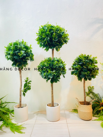 CÂY NGÂU GIẢ TRANG TRÍ HẰNG DECOR (80CM-1M-1M2)