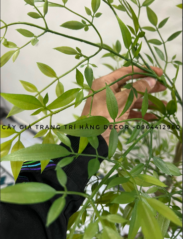 CÂY NAM THIÊN TRÚC GIẢ TRANG TRÍ 2M2
