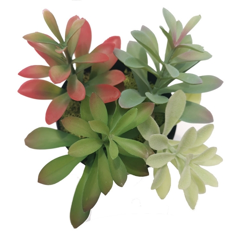 Cành sen đá mầm giả cao 15cm