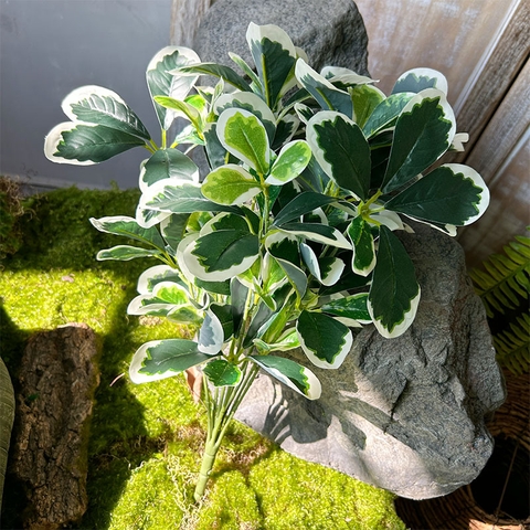 Cành ngũ gia bì giả 40cm (xanh , trắng)