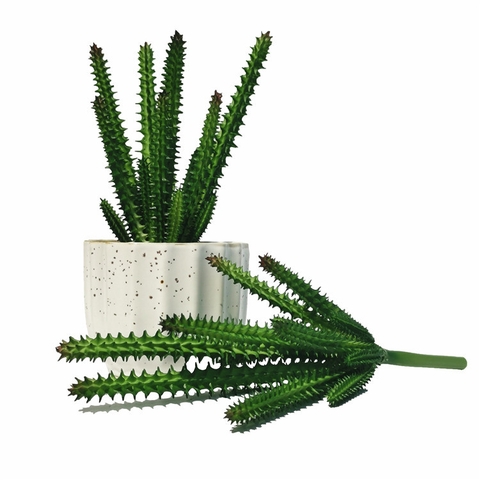 Cành sen đá xương rồng giả 20cm