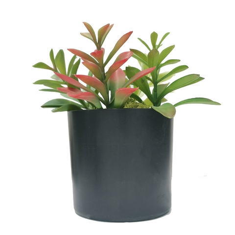Cành sen đá mầm giả cao 15cm