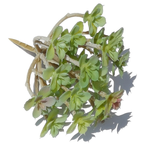 Cành Sen đá chùm giả cao 12cm x rộng 12cm