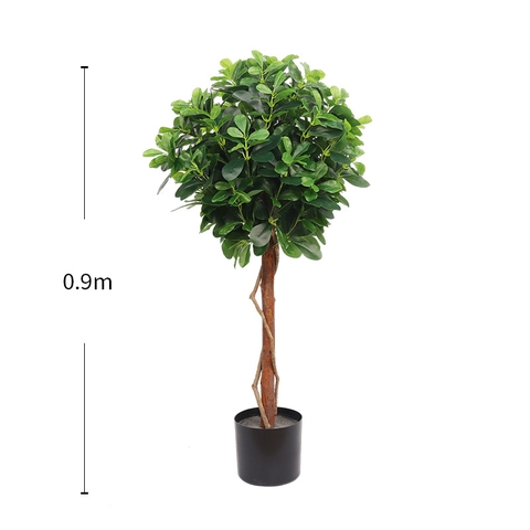 CÂY NGÂU GIẢ TRANG TRÍ HẰNG DECOR (80CM-1M-1M2)