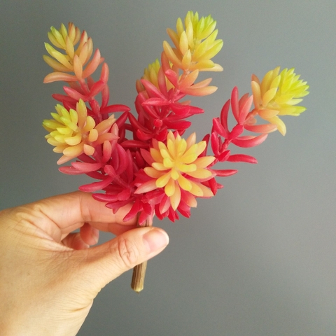 Cành sen đá tép bưởi giả 13cm